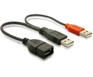 Cablu USB 2.0 Y alimentare 2 X A (T) - A (M), 65306