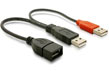 Cablu USB 2.0 Y alimentare 2 X A (T) - A (M), 65306