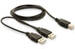Cablu USB 2.0 Y alimentare 2 X A (T) - B (T), 82394