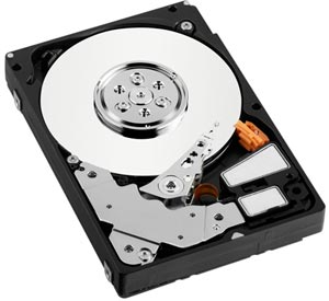 Hard Disk WD VelociRaptor 150GB, 10000rpm, 16MB, WD1500BLFS